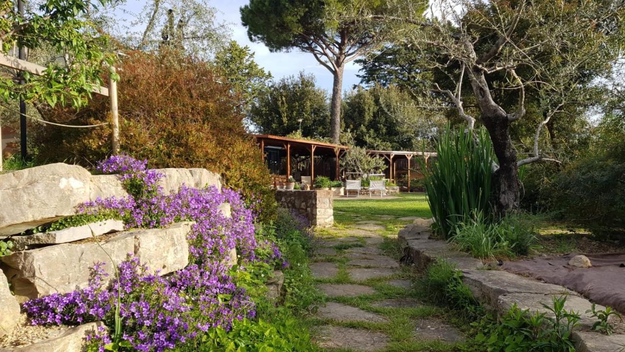 Le Balze In Bed & Breakfast *